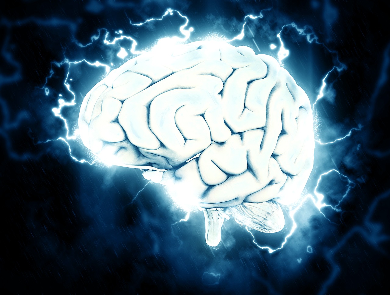 brain-1845962_1280.jpeg